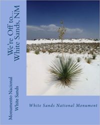 A book cover with a picture of a desert.