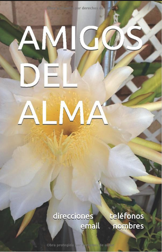 A white flower with yellow center and green leaves.